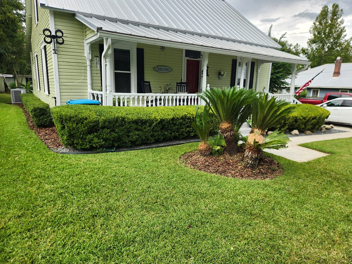 A well-kept farmhouse-style home with a manicured lawn, trimmed hedges, and a sago palm bed