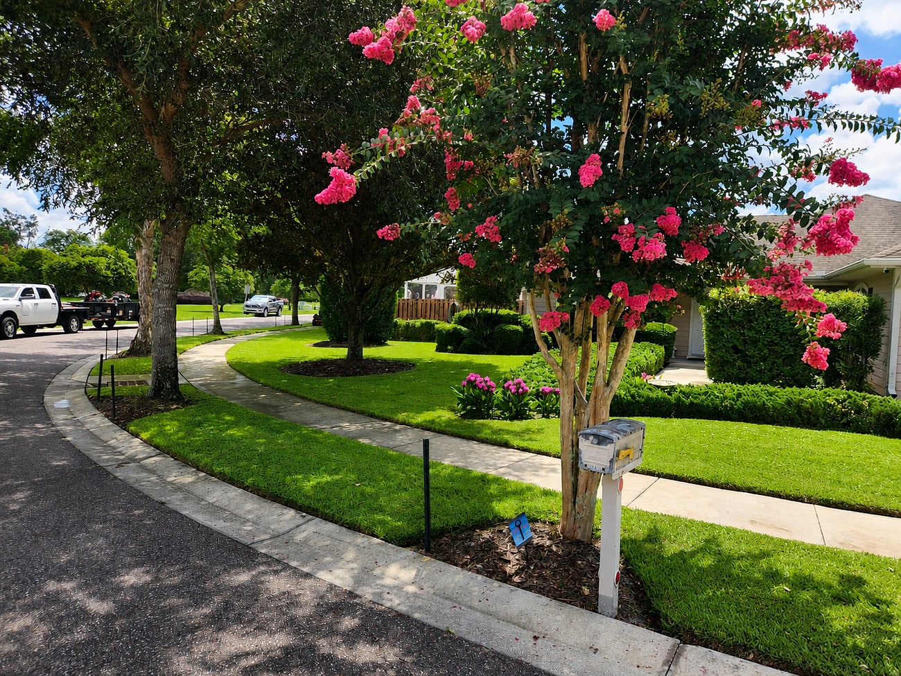 A well-maintained landscaped front yard with a flowering crepe myrtle, edged beds, and a freshly mowed lawn
