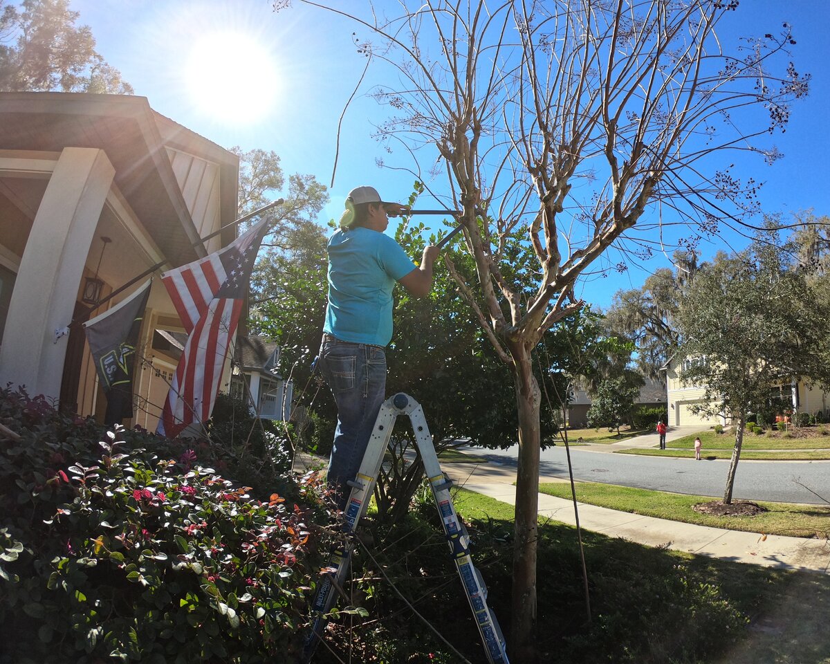 Tree pruning at a residential property