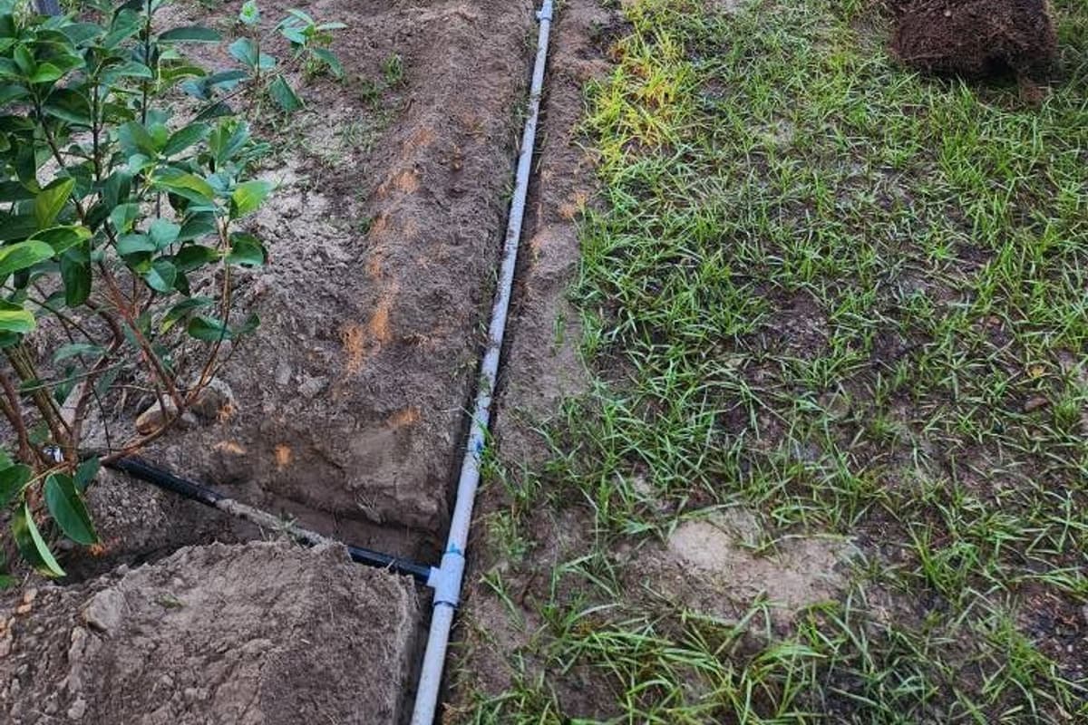 A new irrigation line being installed along a row of freshly planted shrubs