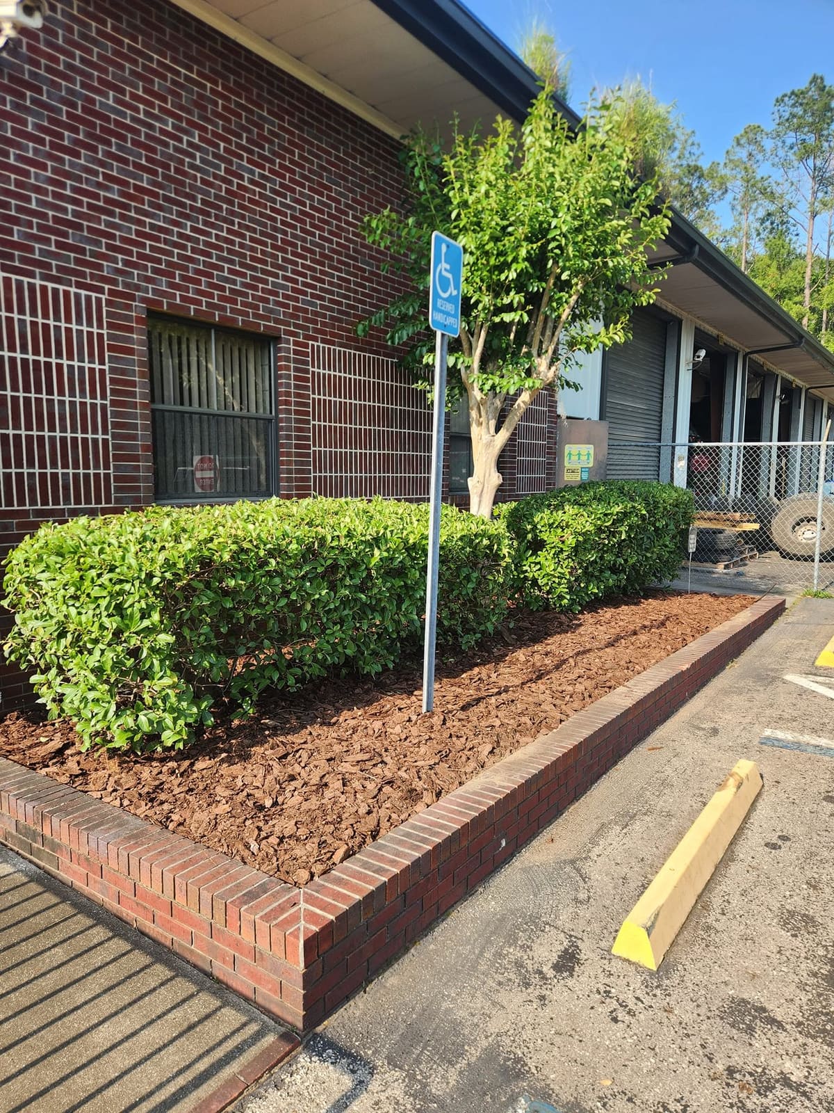 A trimmed hedge and mulch bed bordering a commercial parking lot