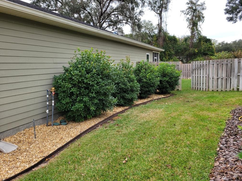 A close-up of a mulch bed edge with a shrub