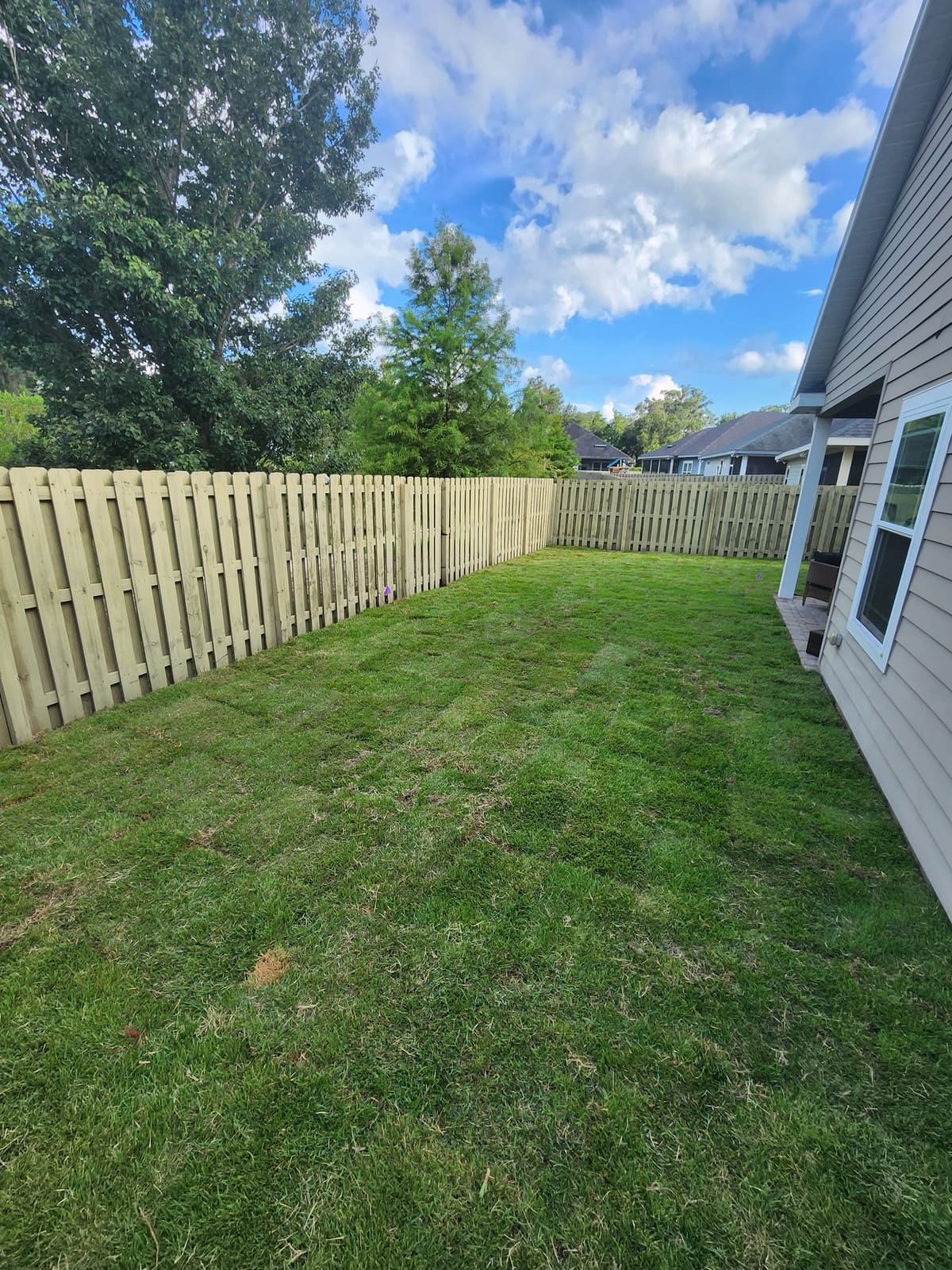 A freshly sodded backyard lawn enclosed by a wood privacy fence
