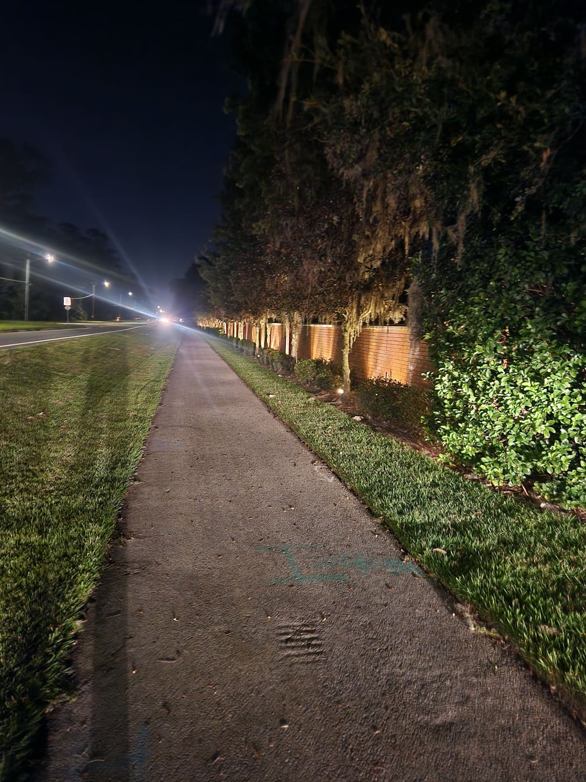 Landscape lighting illuminating a hedge and brick wall along a walkway at night