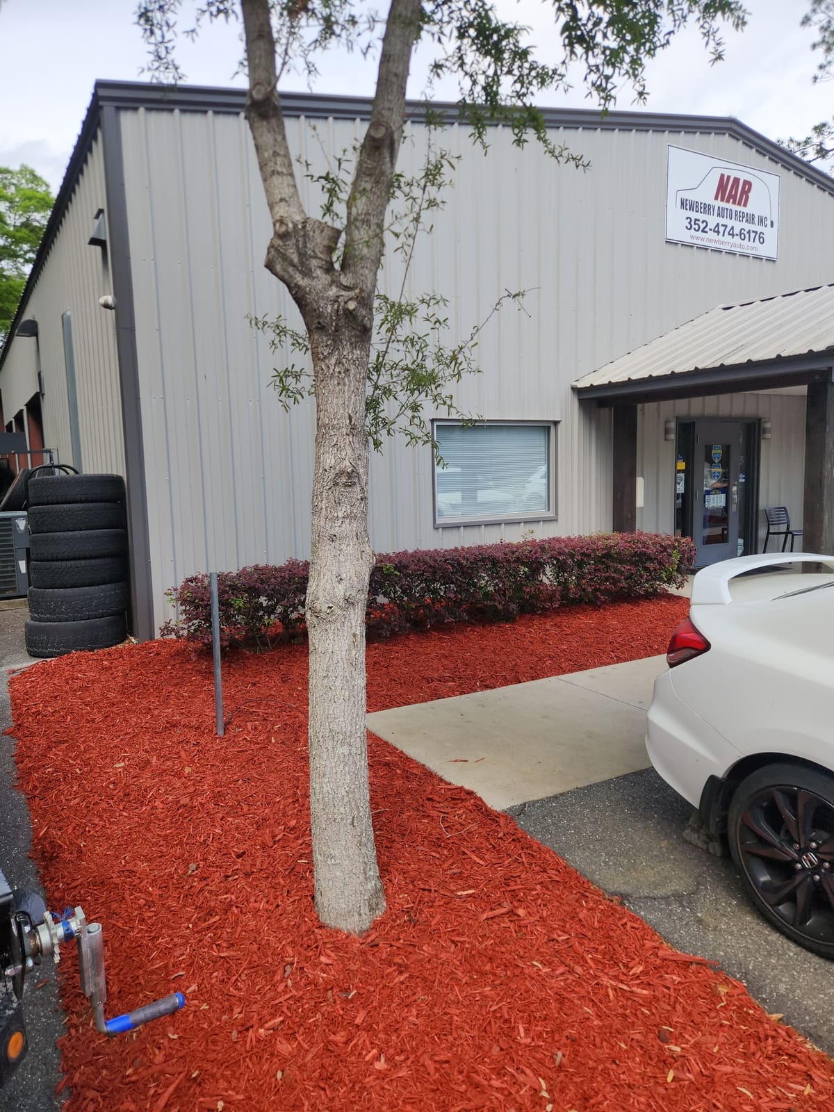 A mulch planting bed with a palm tree and stone edging at a commercial property