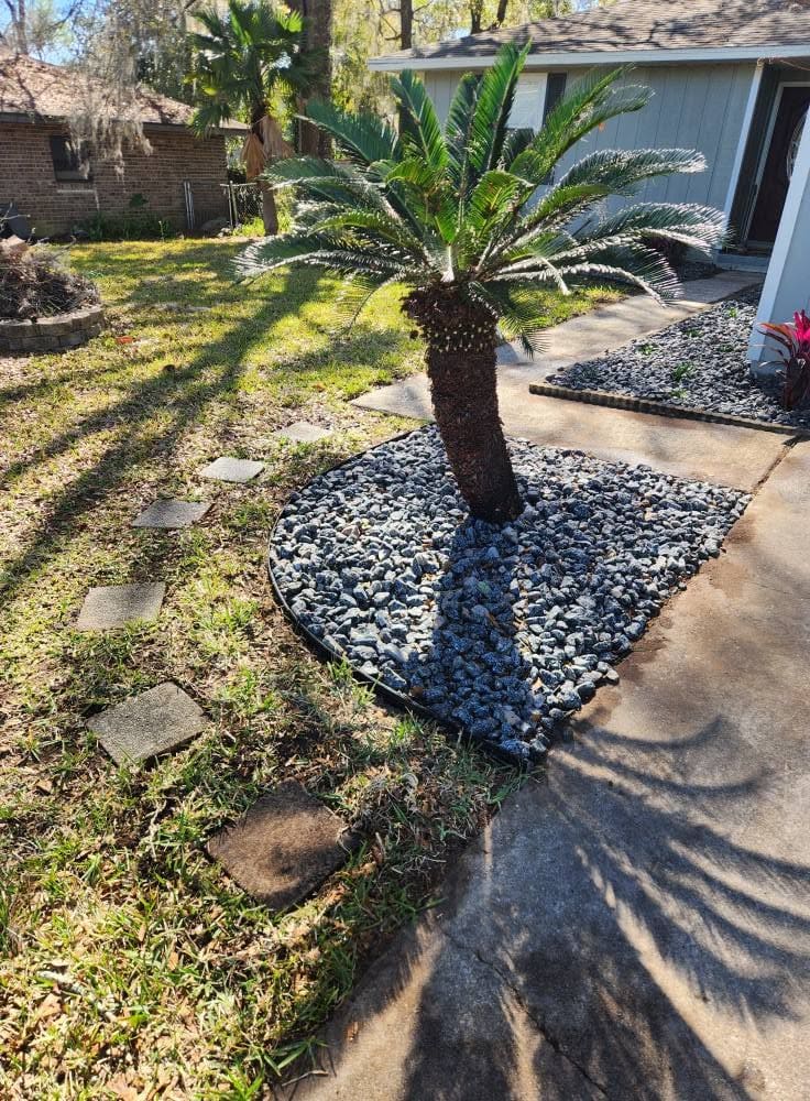 A palm tree in a rock landscape bed with stone edging