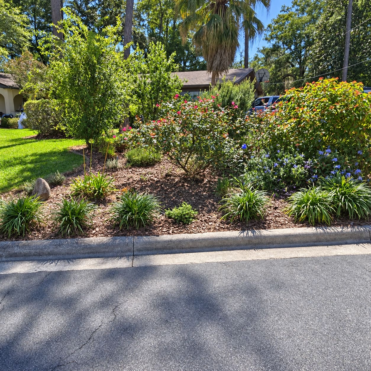 A mulch planting bed with shrubs along a roadside