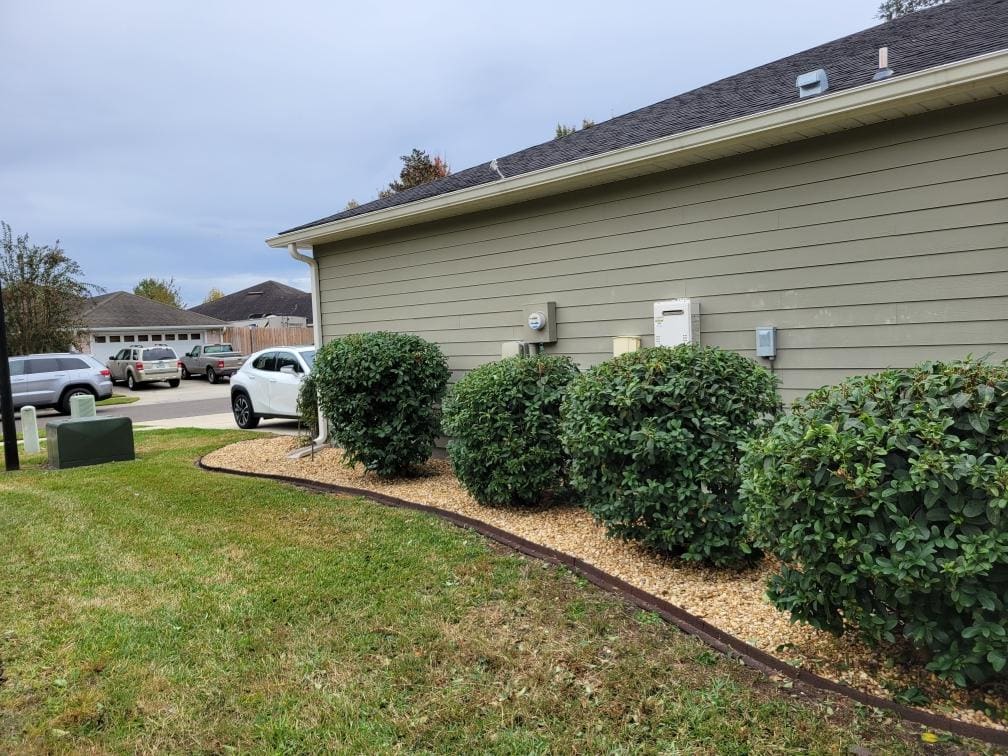A planting bed along a side yard near the driveway