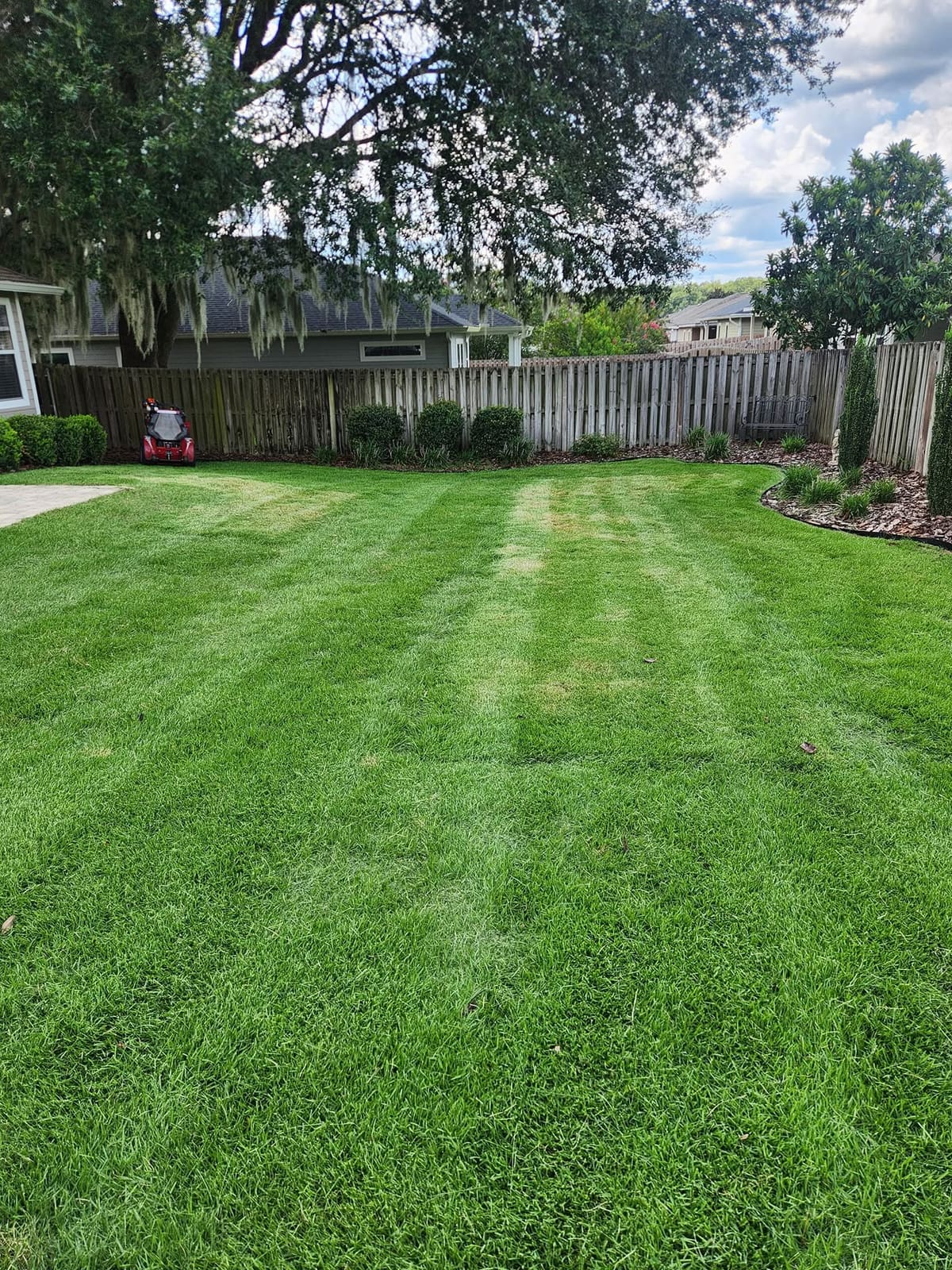 A striped, freshly mowed backyard lawn with a wood privacy fence