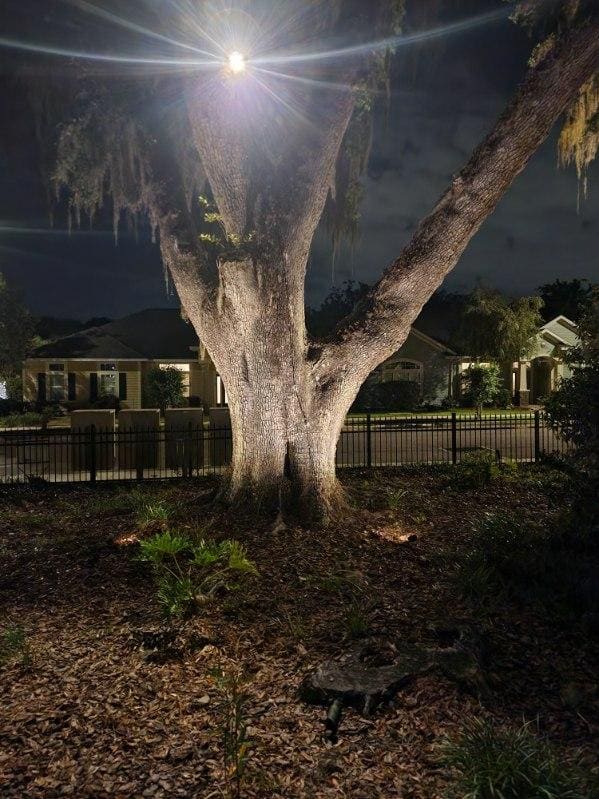 Uplit trees at a community entrance at night