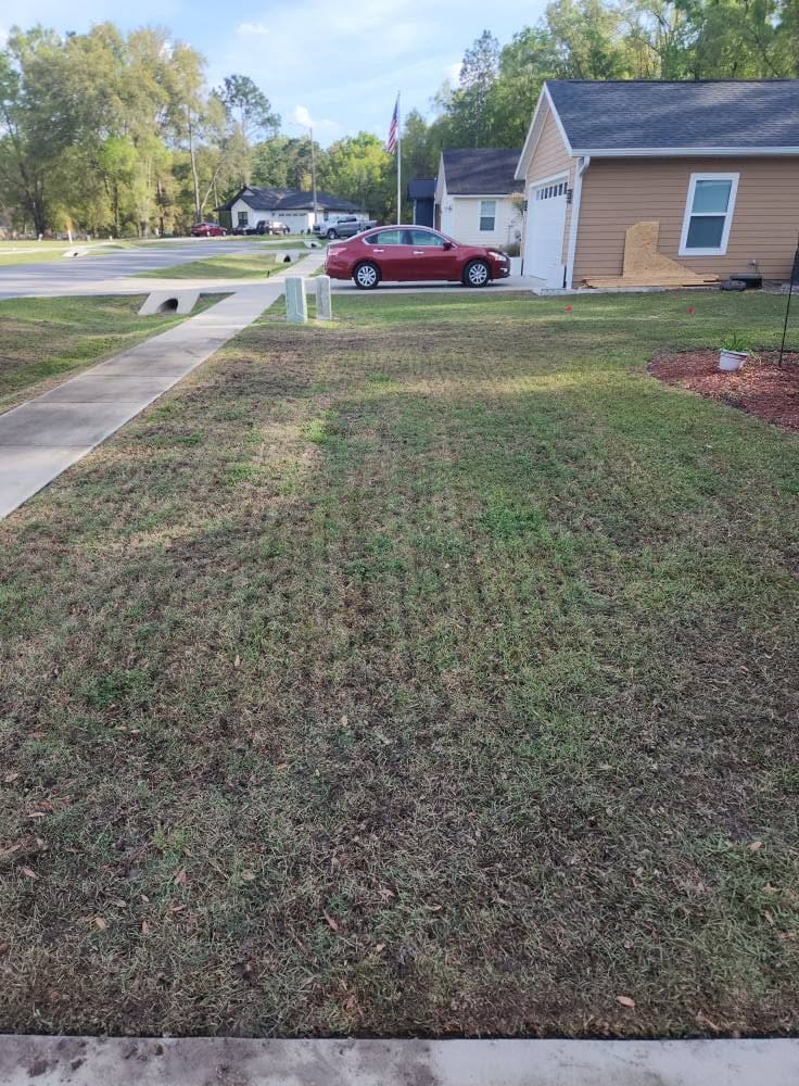A front lawn with visible aeration plugs, driveway and car in the background