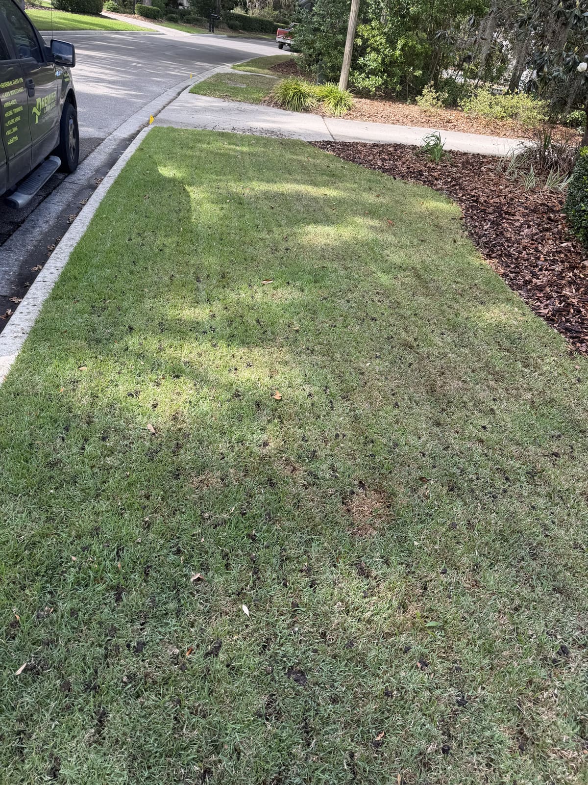 A strip of aerated lawn along a curb next to a parked company truck
