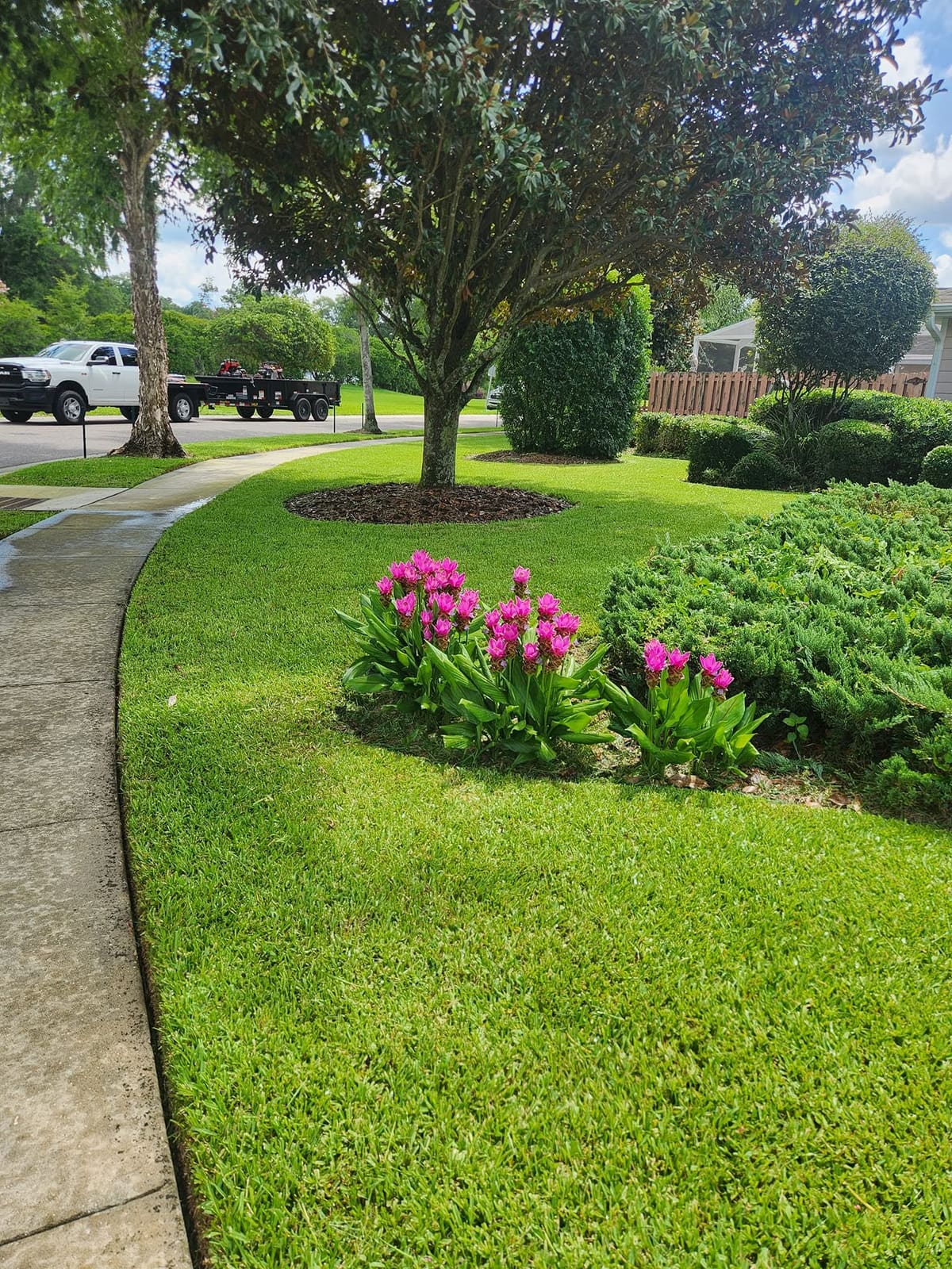A landscape bed with flowering plants beside a freshly mowed lawn