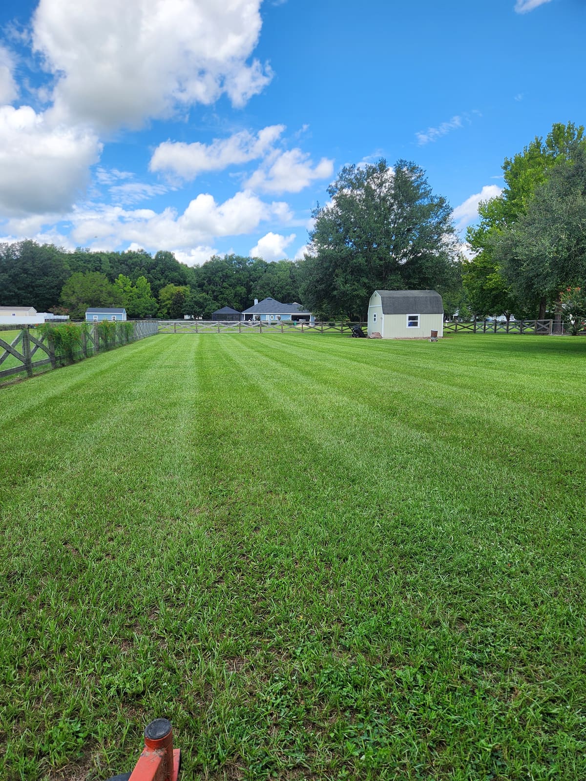 A striped, freshly mowed lawn on an open property with a fence and shed