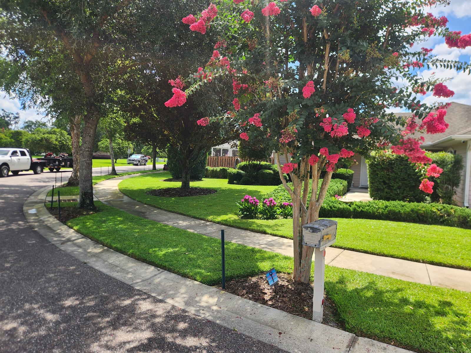 A well-maintained landscaped front yard with a flowering crepe myrtle, edged beds, and a freshly mowed lawn