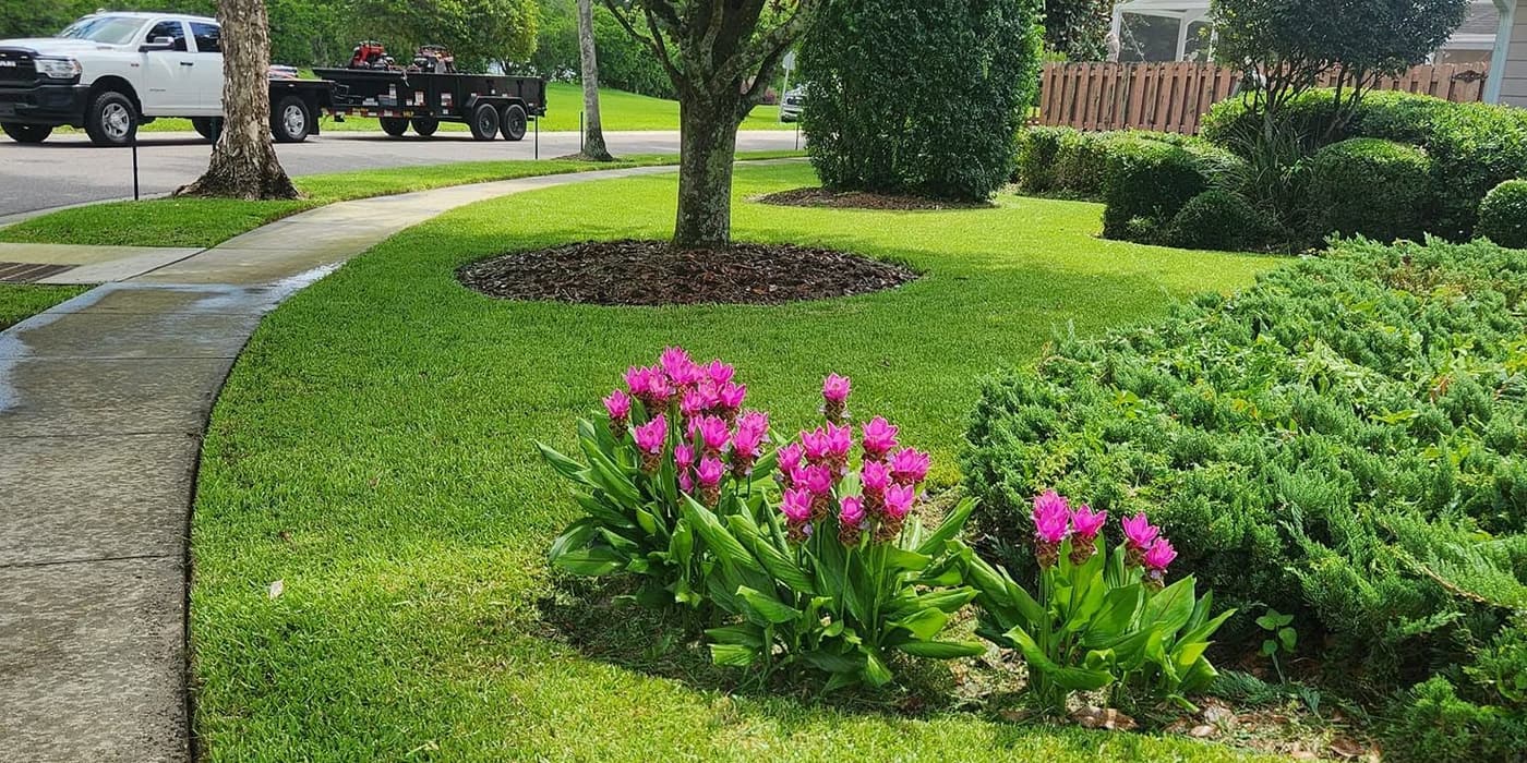 A well-maintained landscaped front yard with a flowering crepe myrtle, edged beds, and a freshly mowed lawn